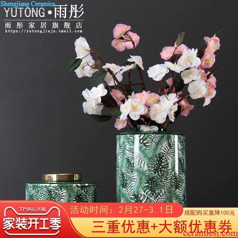 Manual coloured drawing or pattern ceramic flower vases european-style originality sitting room color dried flowers, Nordic home furnishing articles