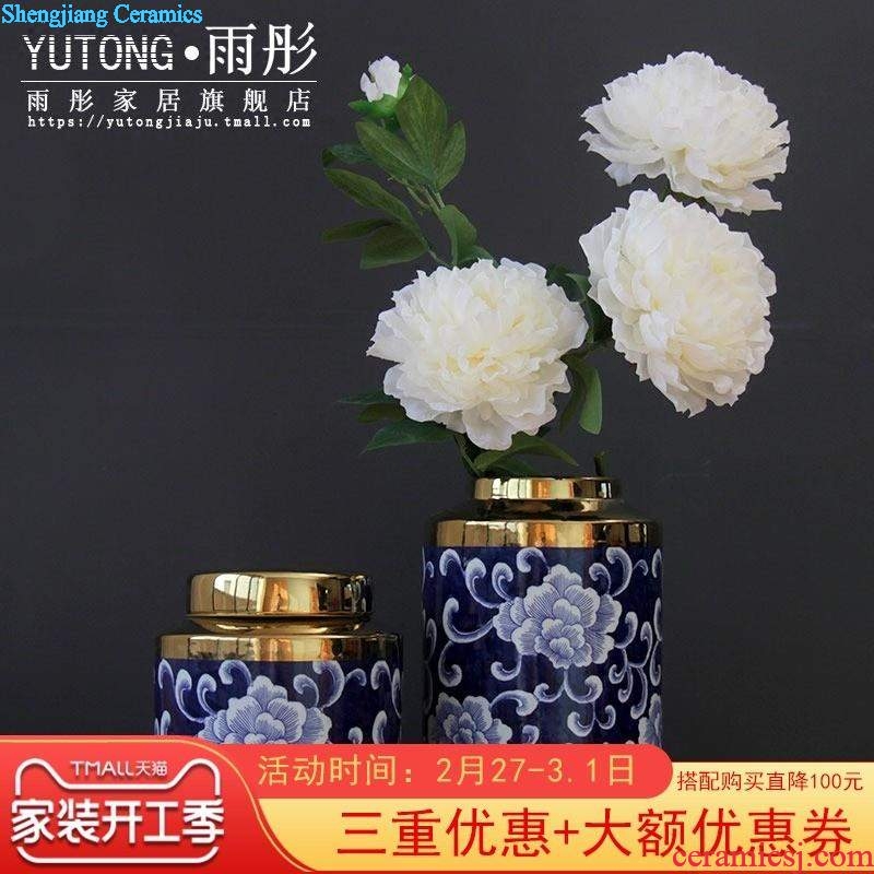 European American ceramic storage tank do old open piece of porcelain pot household act the role ofing is tasted furnishing articles decoration decoration in the sitting room