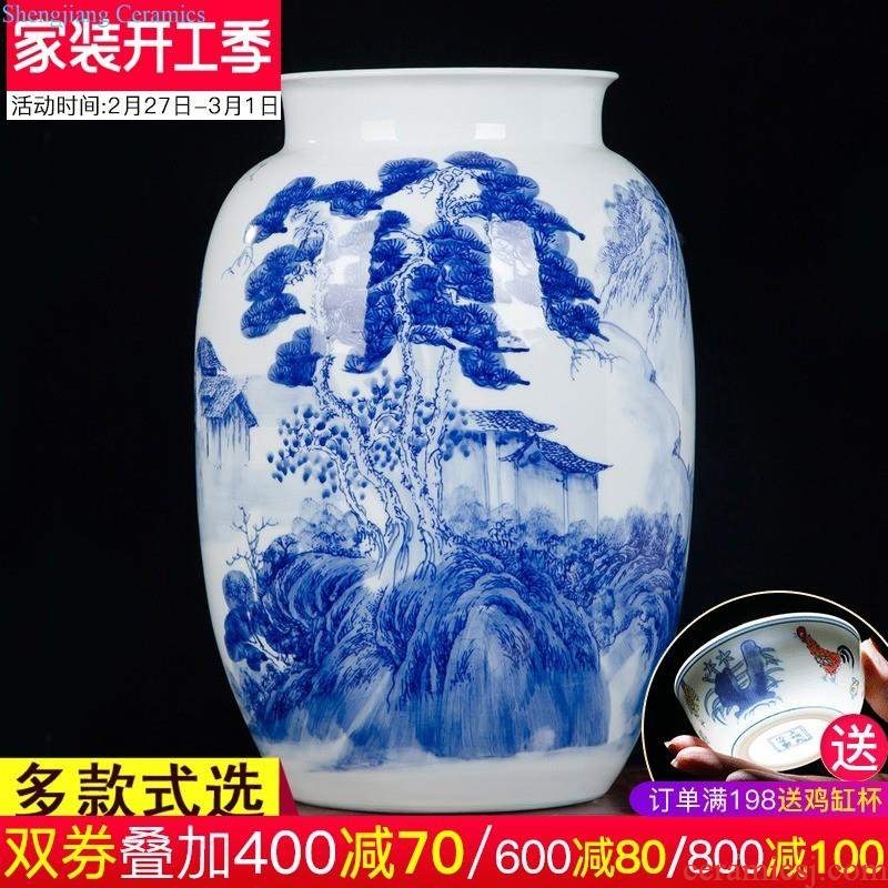 Jingdezhen porcelain of large vases, ceramic furnishing articles hand-painted new Chinese flower arranging large sitting room adornment ornament