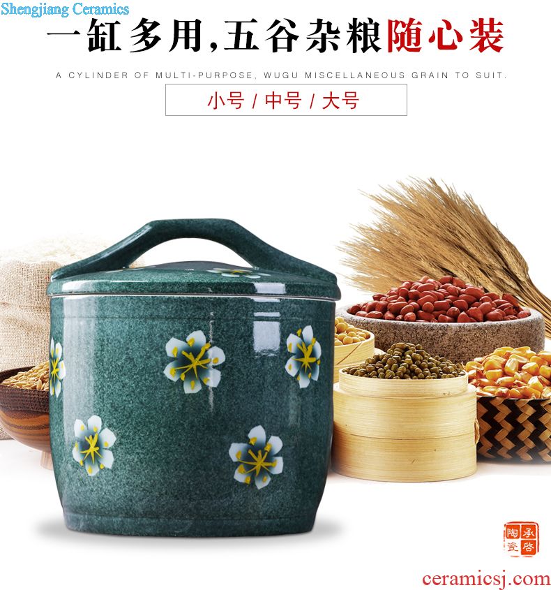 Pickle jar jingdezhen ceramic household small pickled pickles pickles seal storage tank sealing pickle jar