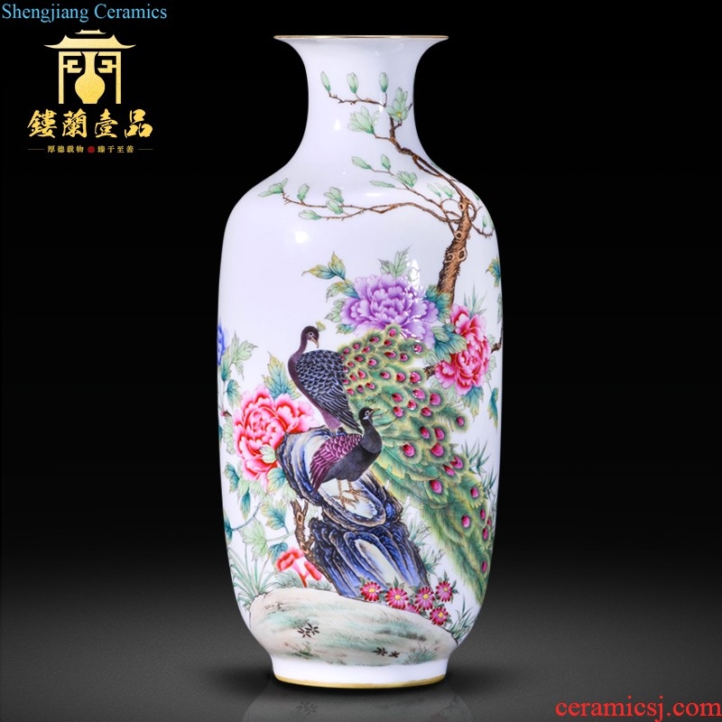 Master of jingdezhen ceramics hand-painted birds decoration vase sitting room furniture collection of new Chinese style furnishing articles