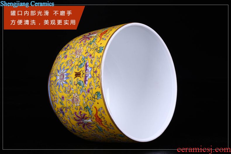 Jingdezhen ceramic tea POTS with a large seal pot household act the role ofing is tasted storage tank porcelain decoration