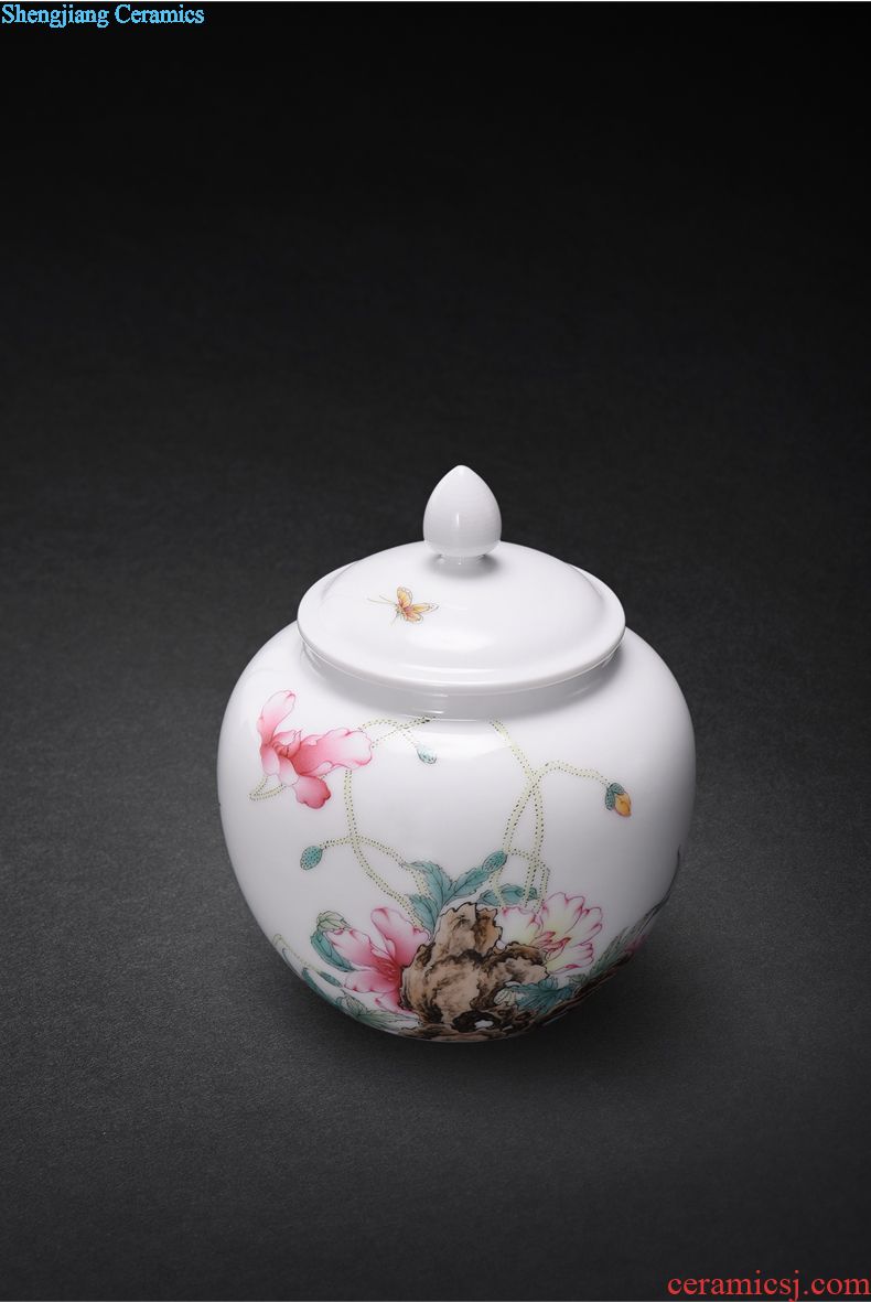 Jingdezhen manual colored enamel porcelain tea pot luck small household wake receives the POTS