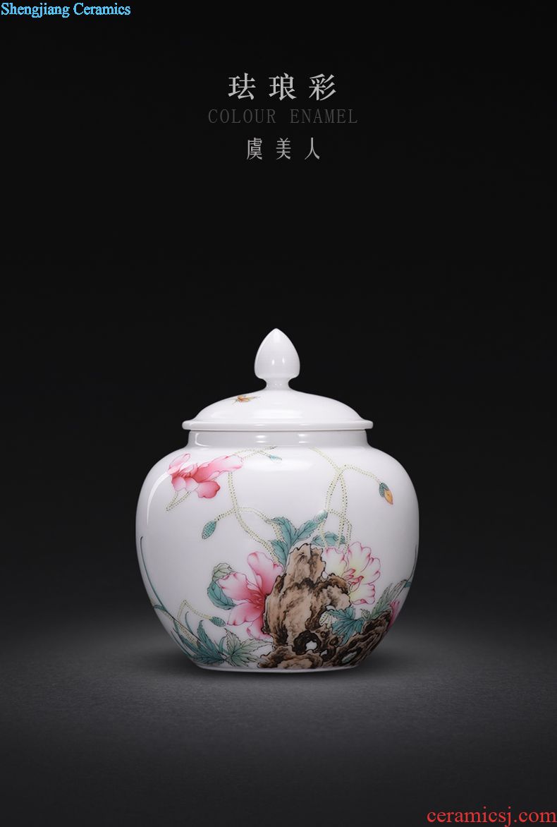 Jingdezhen manual colored enamel porcelain tea pot luck small household wake receives the POTS