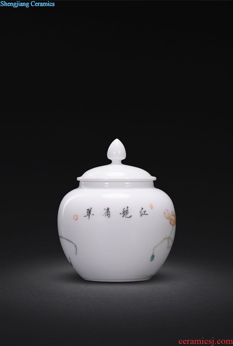 Jingdezhen manual colored enamel porcelain tea pot luck small household wake receives the POTS