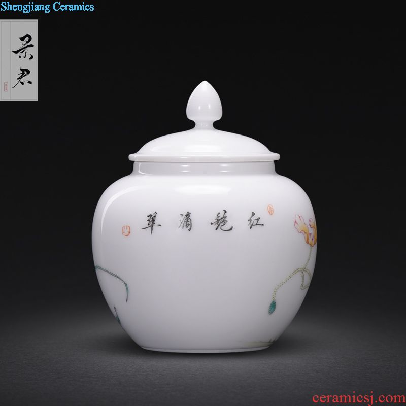 Jingdezhen manual colored enamel porcelain tea pot luck small household wake receives the POTS