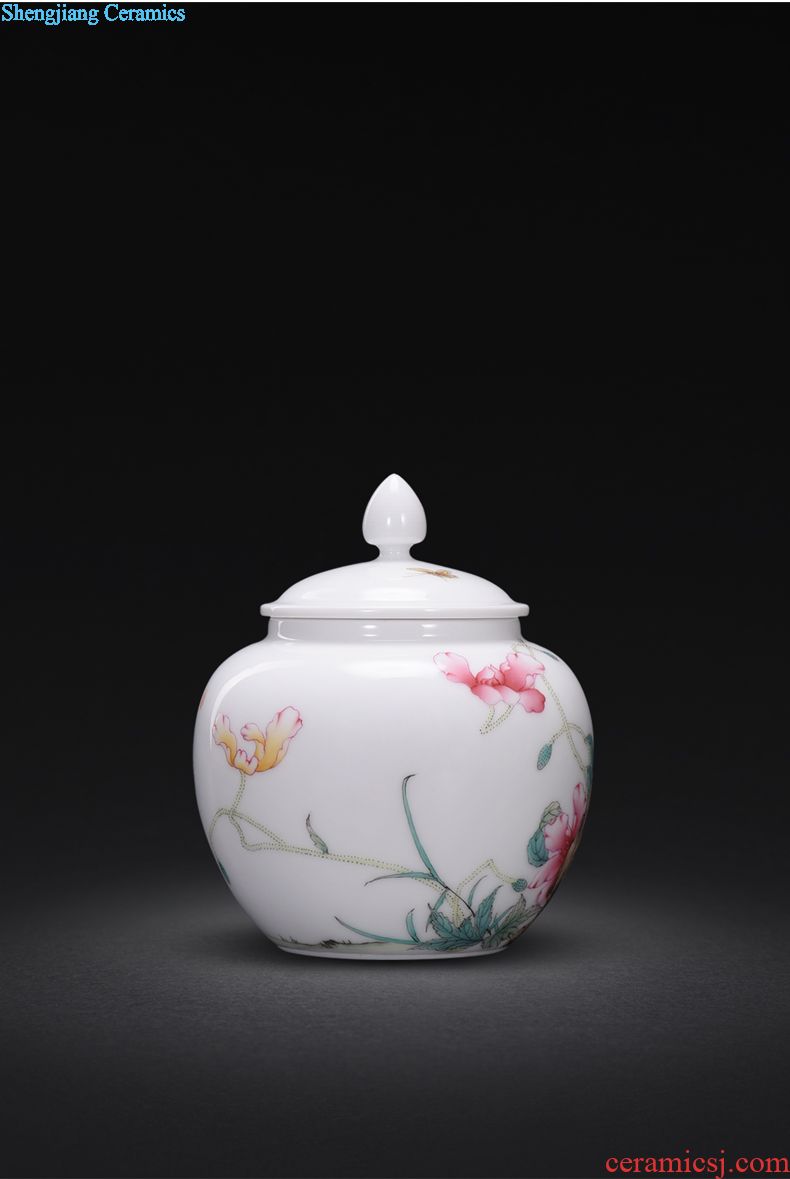 Jingdezhen manual colored enamel porcelain tea pot luck small household wake receives the POTS