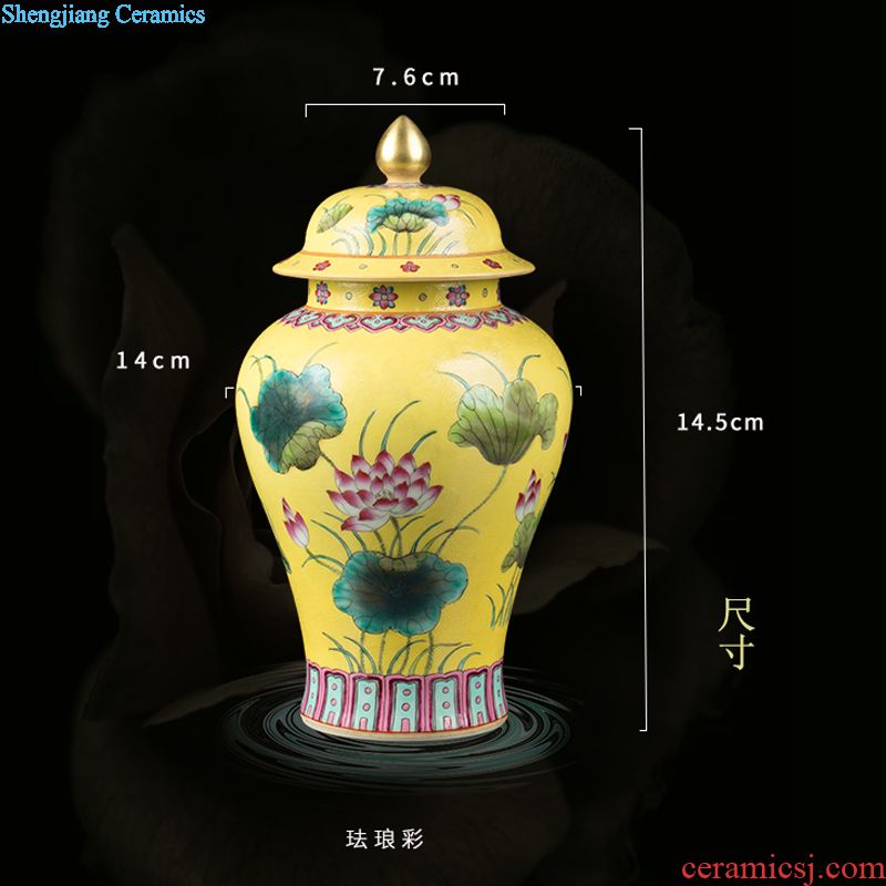 New Chinese blue and white porcelain of jingdezhen ceramics live long and proper cap tube bottle arranging flowers, vases, decorative crafts