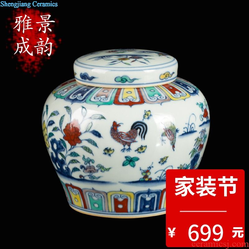 Jingdezhen ceramic antique maintain blue and white porcelain painting of flowers and days word can save POTS furnishing articles home tea POTS