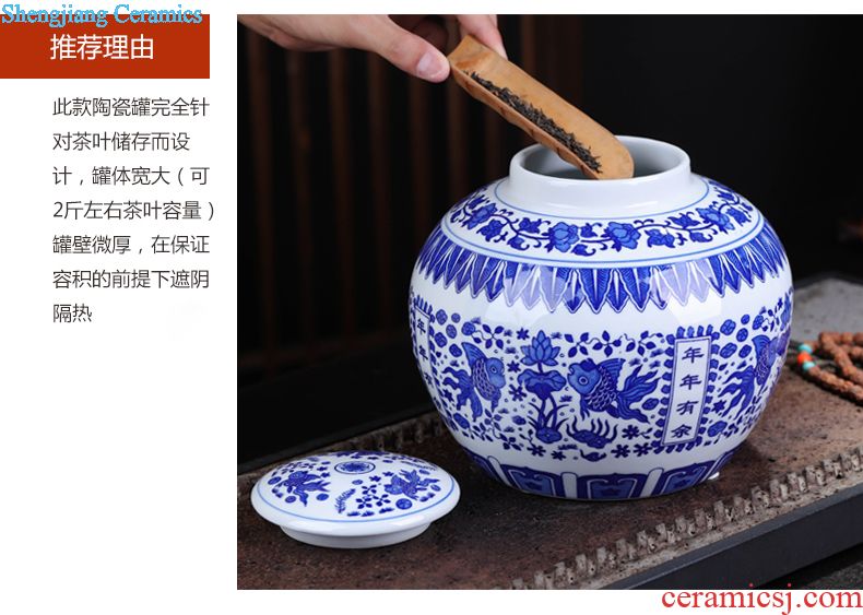 Modern Chinese jingdezhen ceramics sitting room place famous celebrity hand-painted vases, home decorations arts and crafts