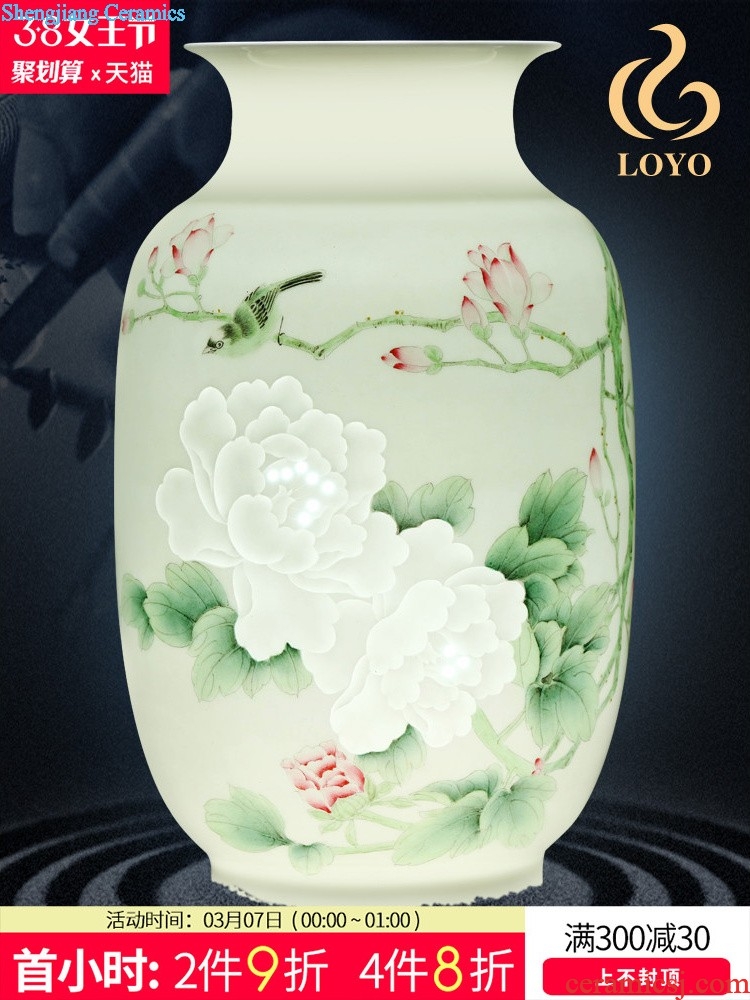 Jingdezhen ceramics vases, flower arranging hand-painted scenery pomegranate bottles of rich ancient frame of Chinese style household decorations arts and crafts