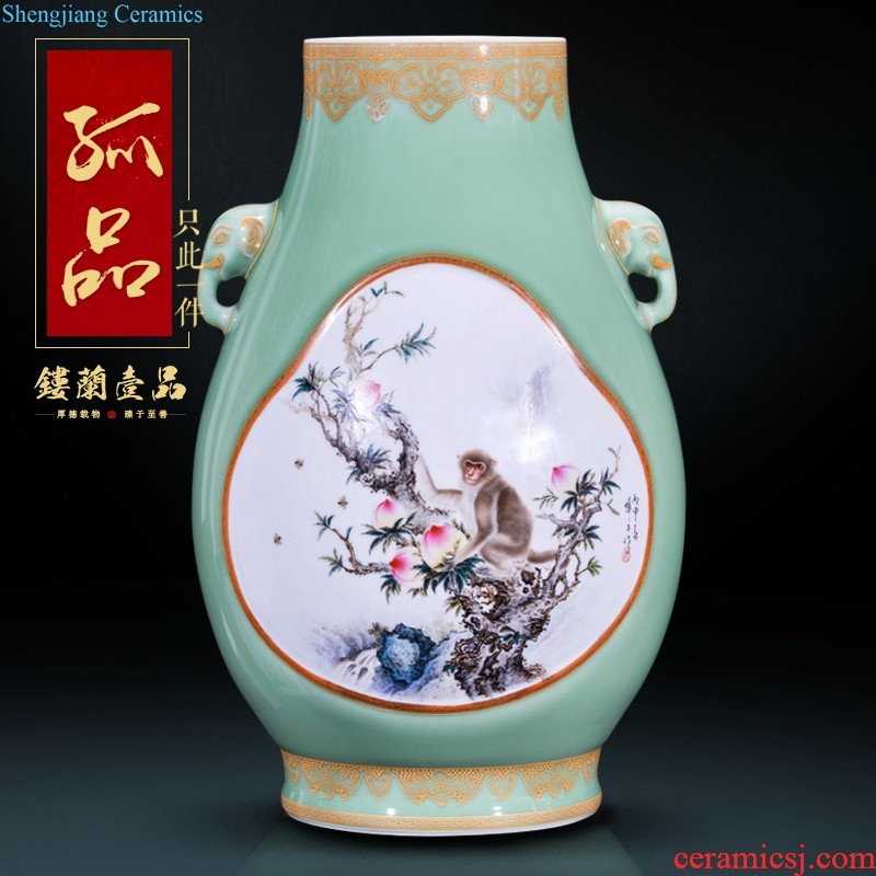 Jingdezhen ceramics hand-painted powder enamel decoration of large vases, new Chinese style household rich ancient frame furnishing articles