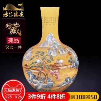 Jingdezhen ceramics artificial antiques furnishing articles mei qing qianlong pick flowers and flowers and birds bottles of Chinese style household decorative arts and crafts
