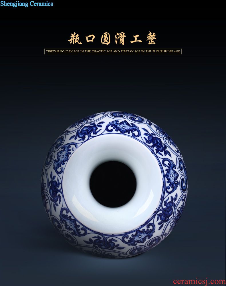 Jingdezhen ceramics vase large red and bright wax gourd bottle of Chinese style household furnishing articles sitting room arranging flowers adorn article