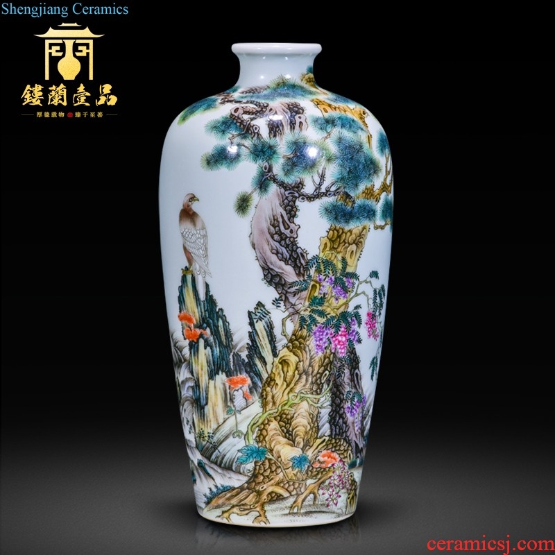 Jingdezhen ceramics hand-painted big vase furnishing articles new Chinese style decoration flower arranging household bedroom a sitting room be born