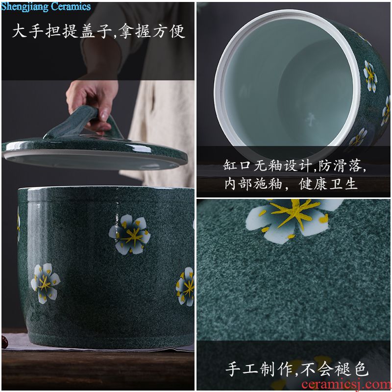 Pickle jar jingdezhen ceramic household small pickled pickles pickles seal storage tank sealing pickle jar