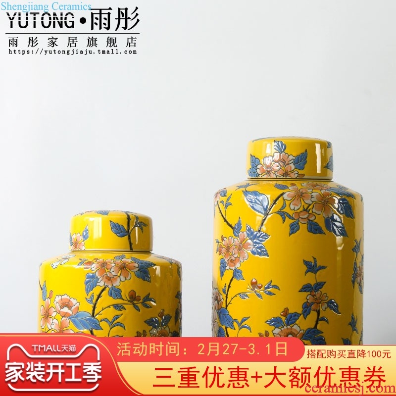 Rain tong home | jingdezhen ceramics creative the colour blue and white triangle/ceramic pot home sitting room porch place