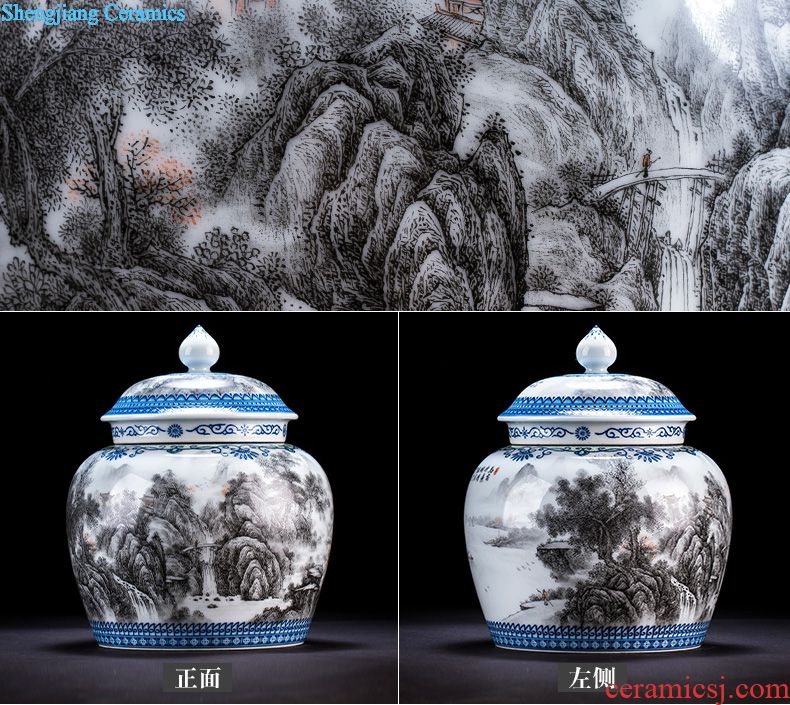 Holy big ceramic tea pot hand-painted new colour tank storage POTS all hand wind stream of jingdezhen tea service