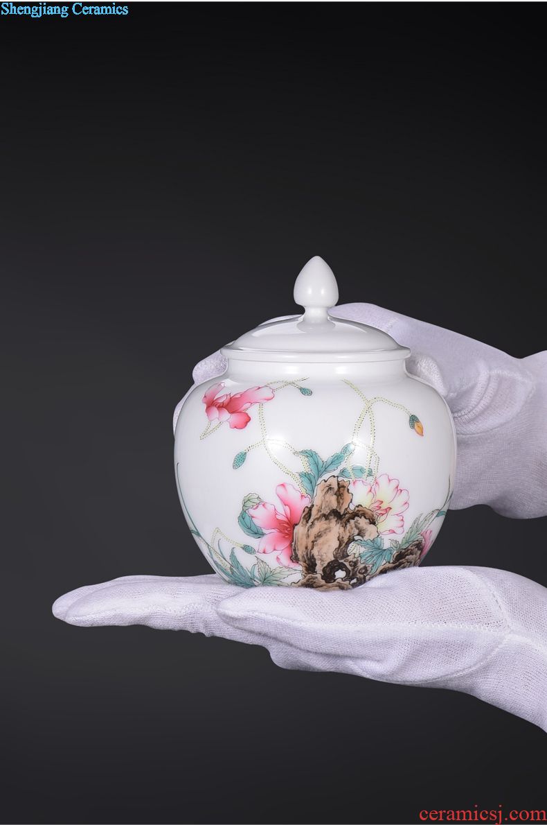 Jingdezhen manual colored enamel porcelain tea pot luck small household wake receives the POTS