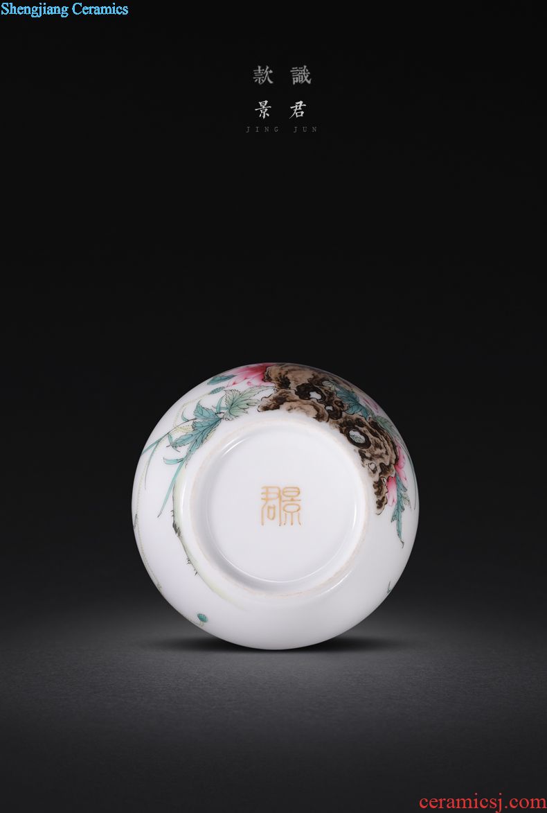 Jingdezhen manual colored enamel porcelain tea pot luck small household wake receives the POTS