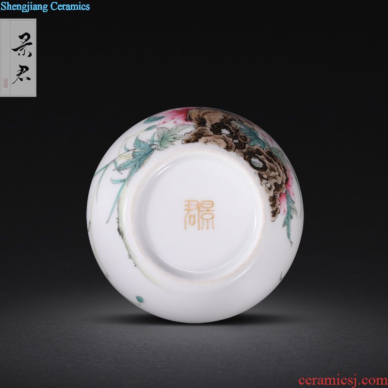 Jingdezhen manual colored enamel porcelain tea pot luck small household wake receives the POTS