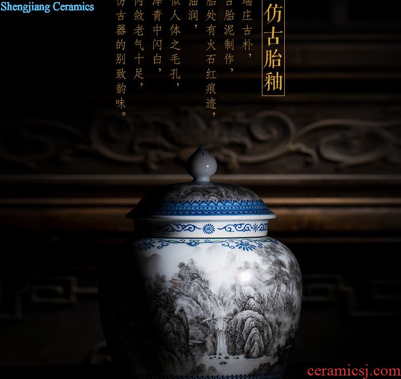 Holy big ceramic tea pot hand-painted new colour tank storage POTS all hand wind stream of jingdezhen tea service
