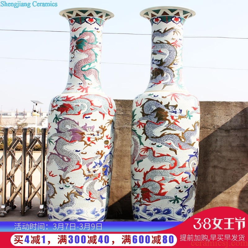 E057 jingdezhen blue and white porcelain ceramics of large vases, antique decoration, Kowloon opened 18 carp furnishings