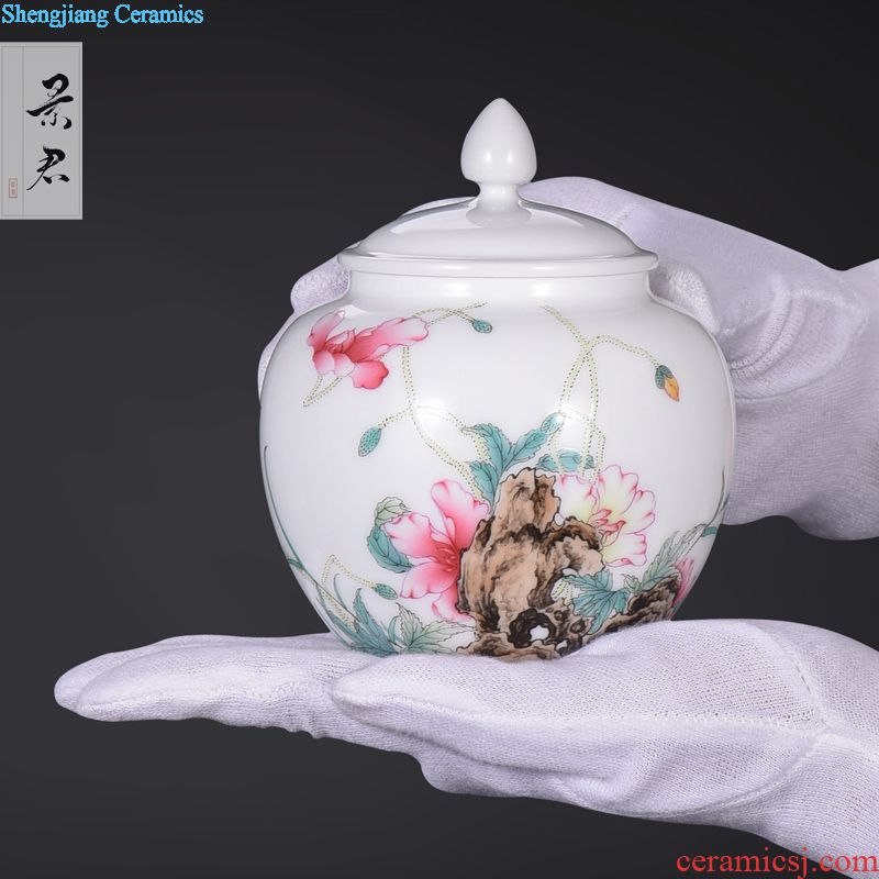 Jingdezhen manual colored enamel porcelain tea pot luck small household wake receives the POTS