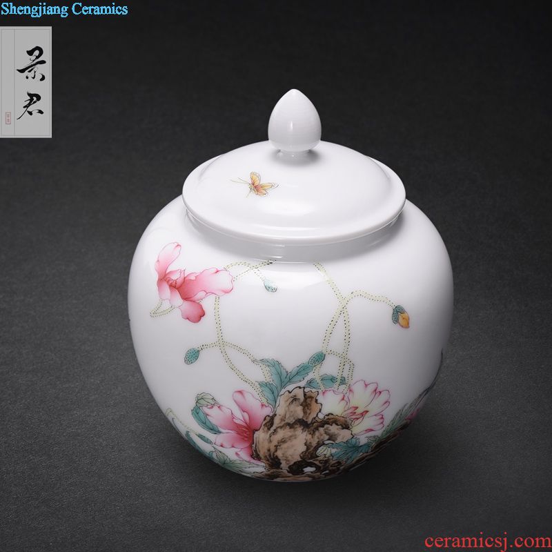 Jingdezhen manual colored enamel porcelain tea pot luck small household wake receives the POTS