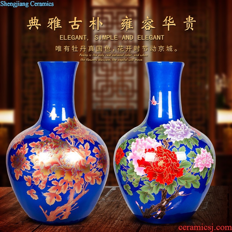 Jingdezhen ceramic antique color ink famous hand-painted vases bonanza Chinese style home sitting room adornment is placed