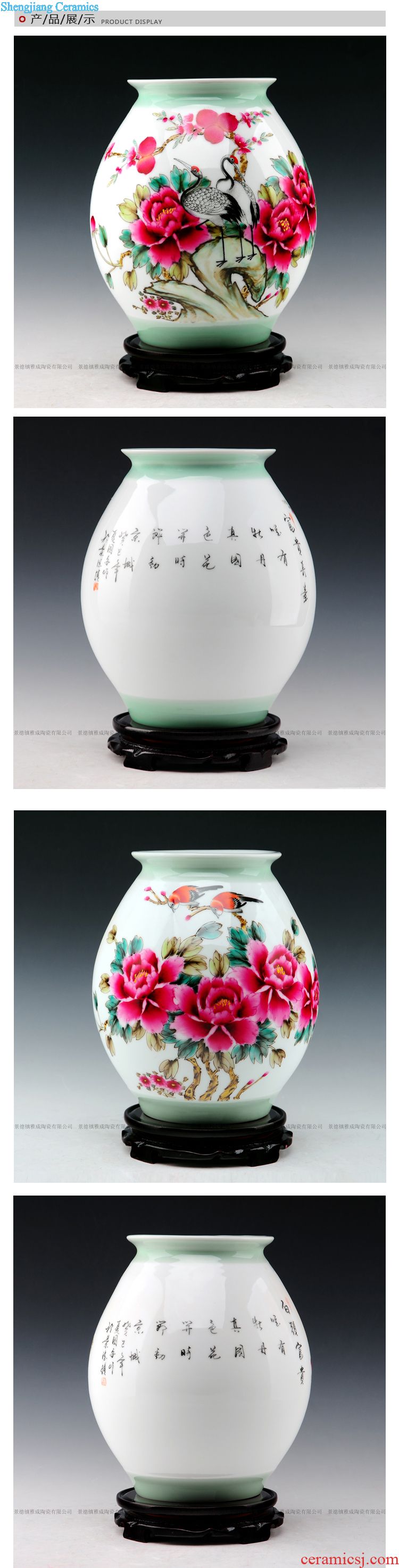 Master of jingdezhen ceramics hand-painted famille rose porcelain vase gall bladder classical household adornment handicraft furnishing articles