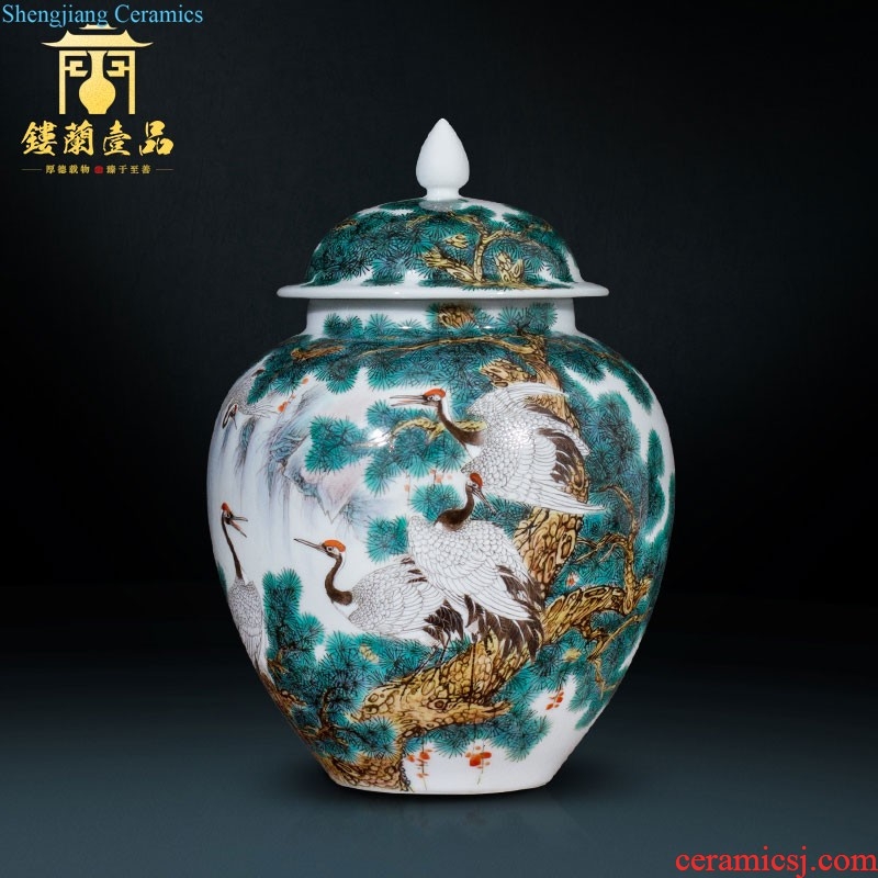 Jingdezhen ceramic hand-painted archaize pastel caddy storage tank brocade prosperous Chinese sitting room adornment is placed