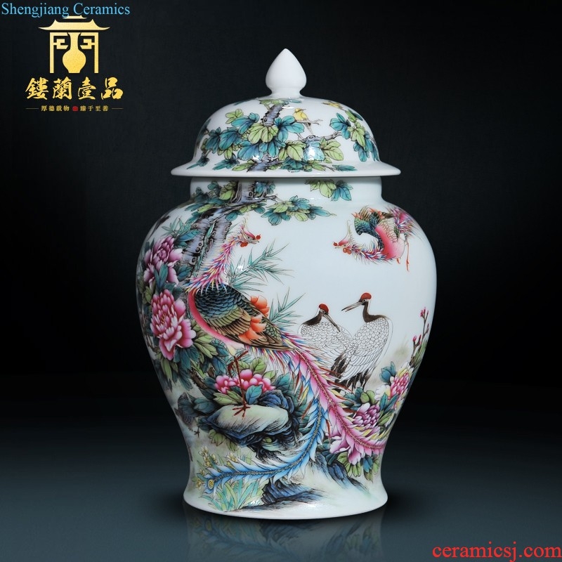 Jingdezhen ceramic hand-painted heavy pastel large sitting room porch is decorated tea storage tank is Chinese style household furnishing articles