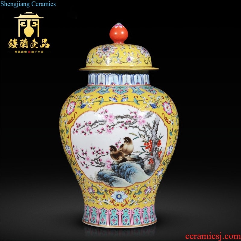 Jingdezhen imperial kiln chinaware imitation qianlong pastel flowers yellow around the eight immortals lines like ear cover pot sitting room adornment is placed