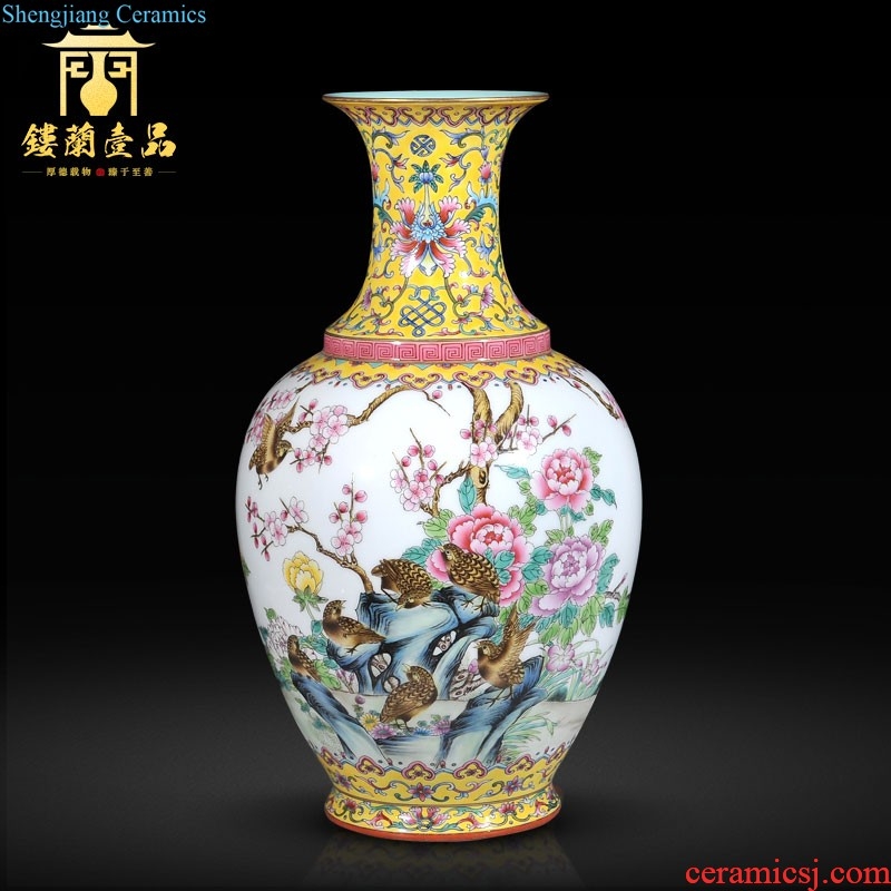 Jingdezhen imperial kiln chinaware archaize qing qianlong enamel pastel scramble for CV 18 wealth ears flat bottles of furnishing articles