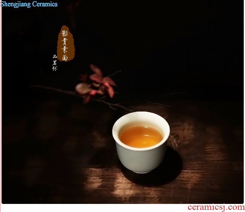 The three frequently kung fu tea caddy large Jingdezhen ceramic save tea pot seal pot puer tea