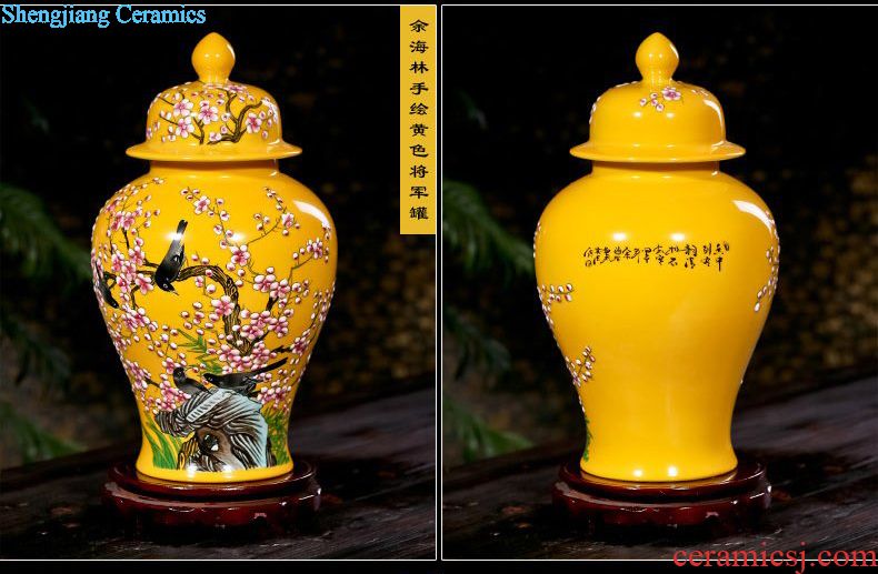 Jingdezhen ceramic tea cake tea pot POTS large POTS of tea pot of water storage tank ceramic POTS