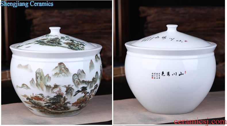 Jingdezhen ceramics stool in shoes stool elephants in stool toilet stool to sit stool handicraft furnishing articles