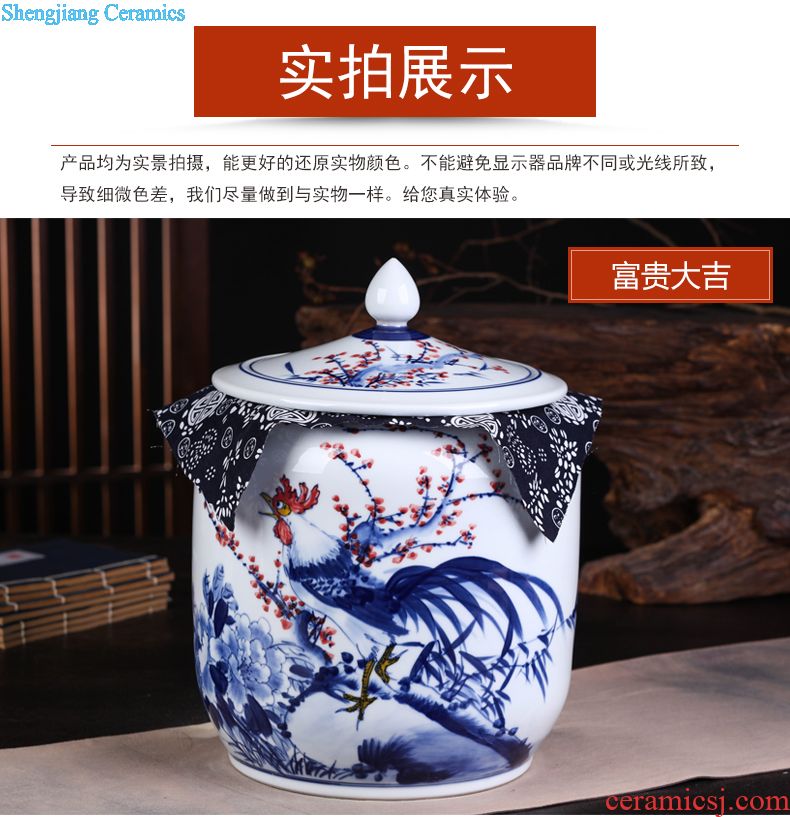 Jingdezhen ceramic vase vase the general pot of large western European large sitting room red clay furnishing articles