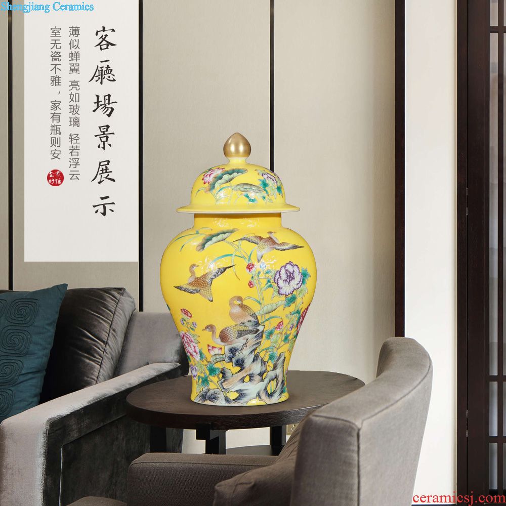 Jingdezhen ceramics beaming vase home sitting room desktop furnishing articles colored enamel decoration wedding gift