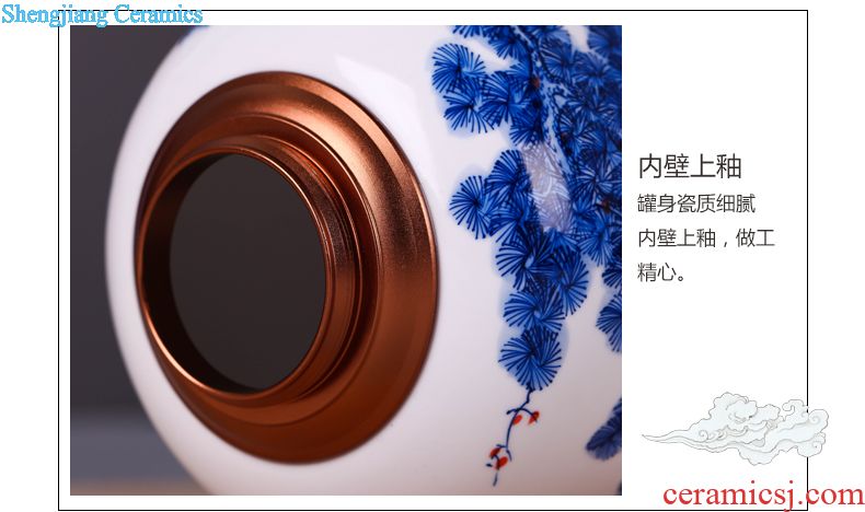 Jingdezhen ceramic tea pot small portable sealed porcelain POTS caddy household storage tanks