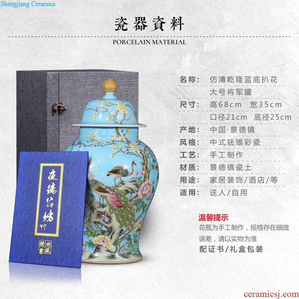 Jingdezhen ceramics the general pot of Chinese style household furnishing articles grilled pastel flowers and flowers and birds sitting room ark adornment ornament