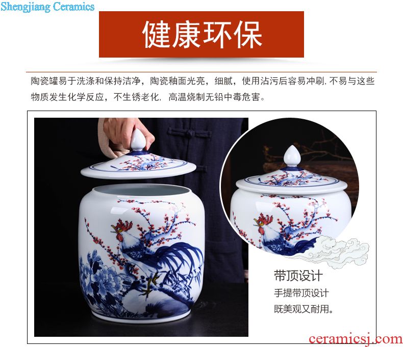 Jingdezhen ceramic vase vase the general pot of large western European large sitting room red clay furnishing articles