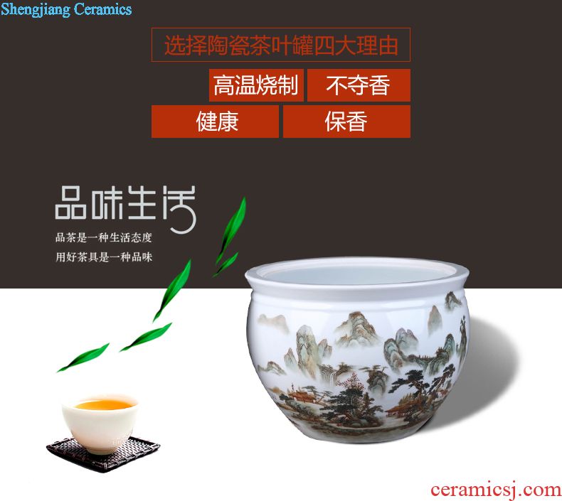 Jingdezhen ceramics stool in shoes stool elephants in stool toilet stool to sit stool handicraft furnishing articles