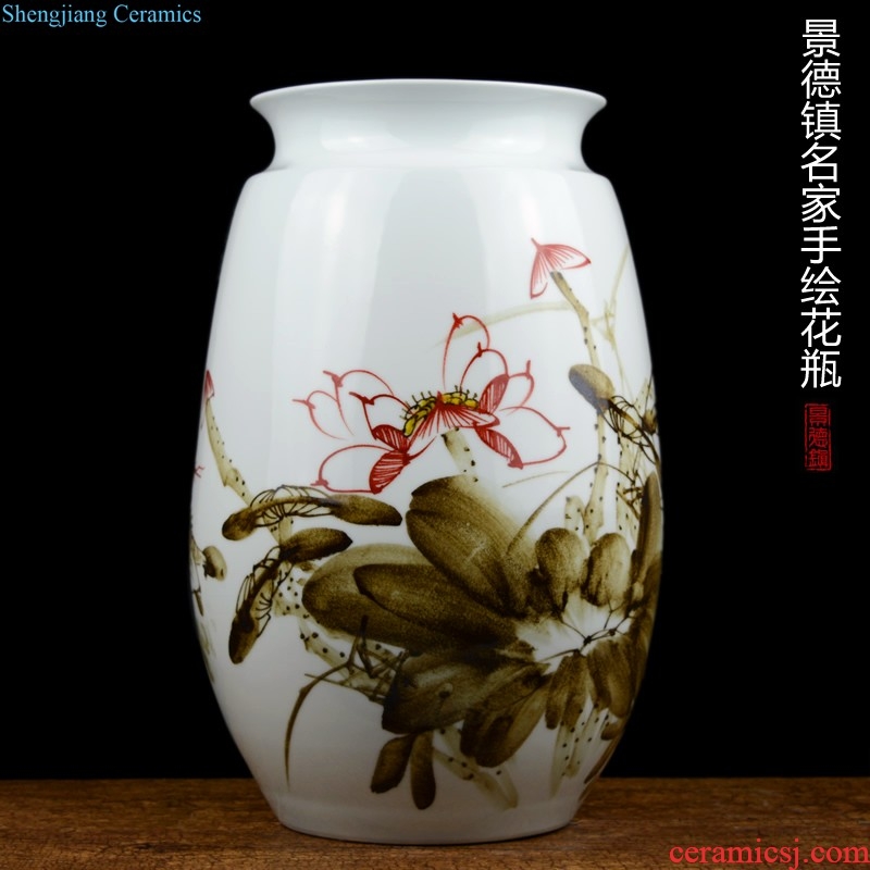 General European ceramic pot large American landing luxury HuaChu jar sample room hotel soft adornment is placed