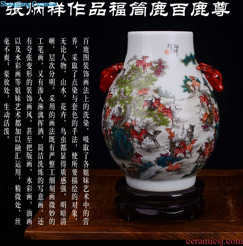 New Chinese style household jingdezhen ceramic decorative vase furnishing articles large sitting room porch flower arranging, porcelain decoration