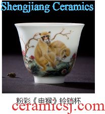 Individual sample tea cup cup of jingdezhen ceramic hand-painted new colour "the beauty of the four seasons" single cup all hand kung fu tea cups