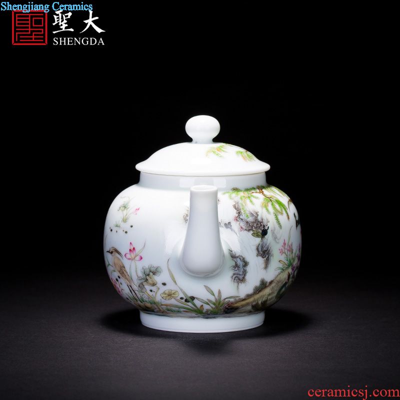 Holy big teapot hand-painted ceramic kung fu finches poetic spherical filtering teapot manual jingdezhen blue and white spirit tea sets