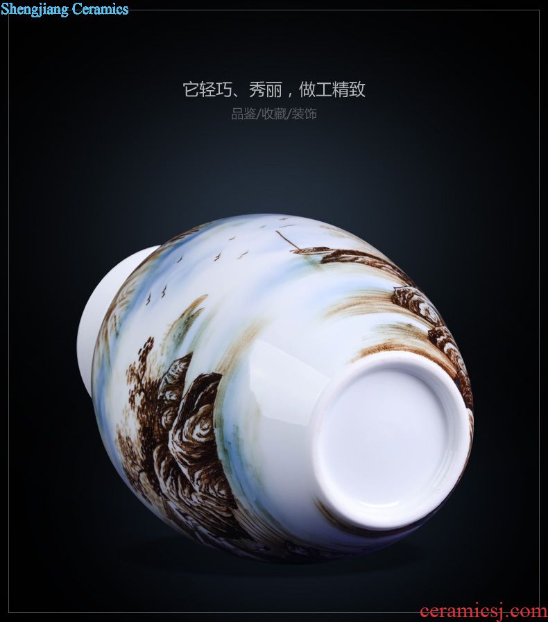 Jingdezhen ceramics imitation qing qianlong hand-painted porch decoration of Chinese style household longfeng gourd of blue and white porcelain vase