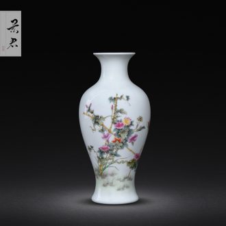 Jingdezhen hand-painted master new colour goddess of mercy bottle porcelain vase furnishing articles sitting room adornment flower arranging ceramic flower vases
